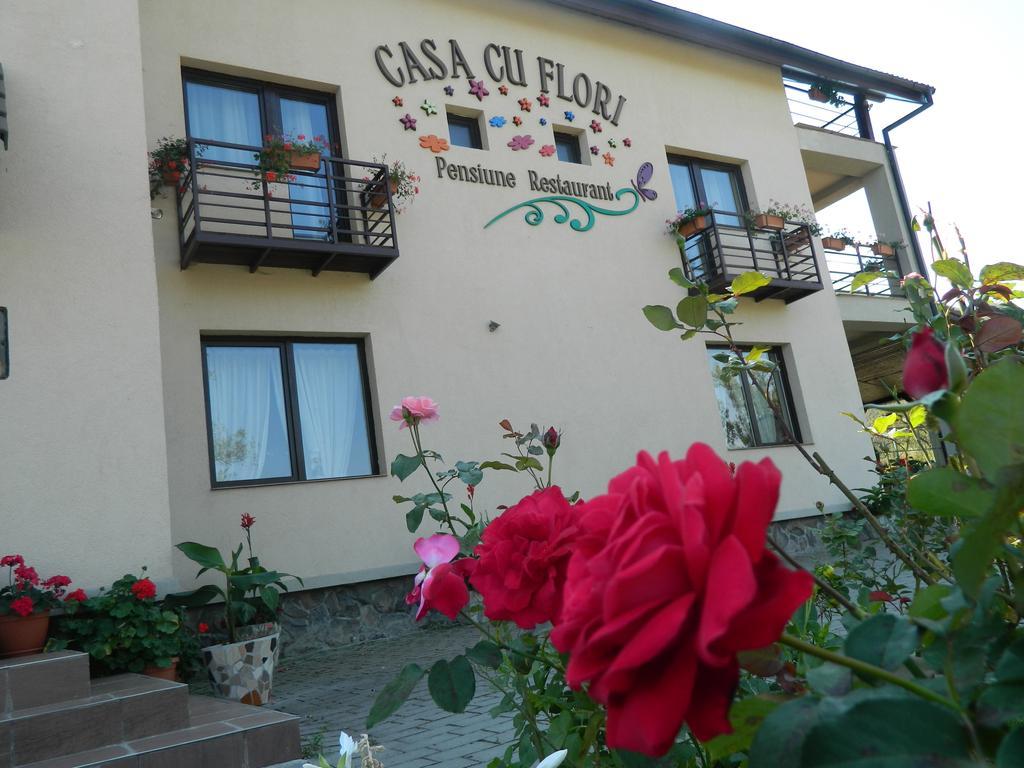 Pensiunea Casa Cu Flori 시스나디오아라 외부 사진